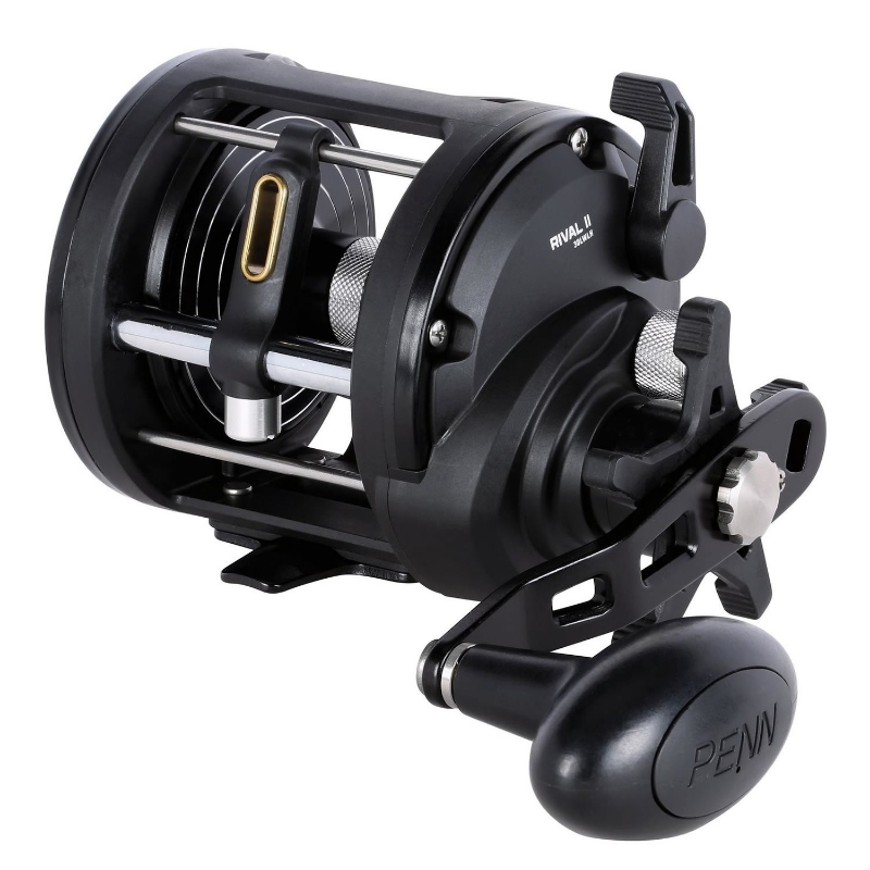 PENN Rival II Level Wind 30 SD LH