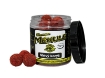Obrázek CSV Boilies Měkule - 140 g / 25 mm / Mrtvý korýš