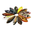 Wobler Westin Swim Glidebait 5